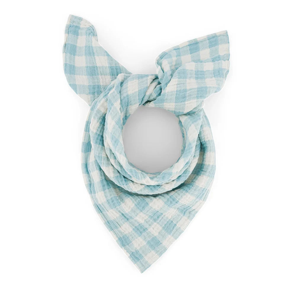 Baby Muslins / Gingham Blue - Domestic Science Home