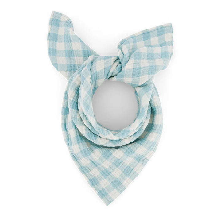 Baby Muslins / Gingham Blue - Domestic Science Home