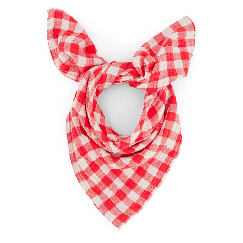 Baby Muslins / Gingham Tomato - Domestic Science Home