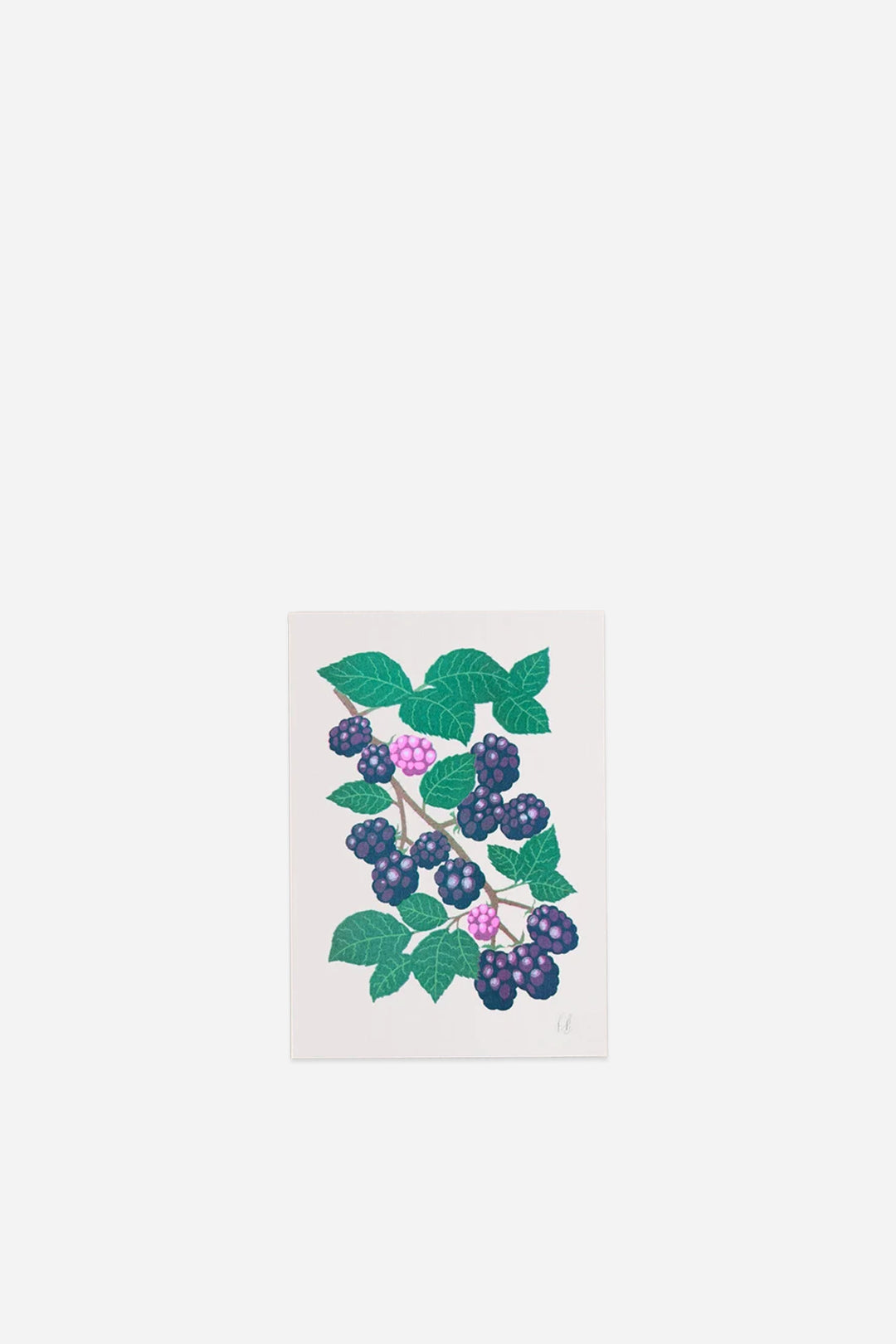 Blackberry Fruit Greeting Card