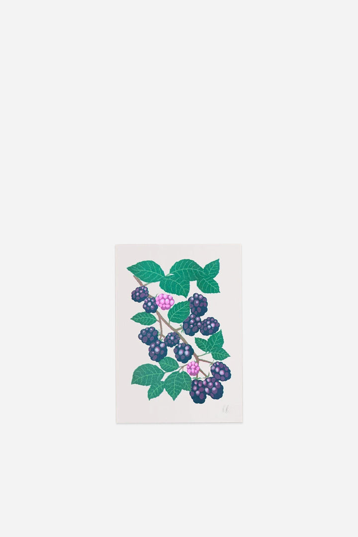 Blackberry Fruit Greeting Card