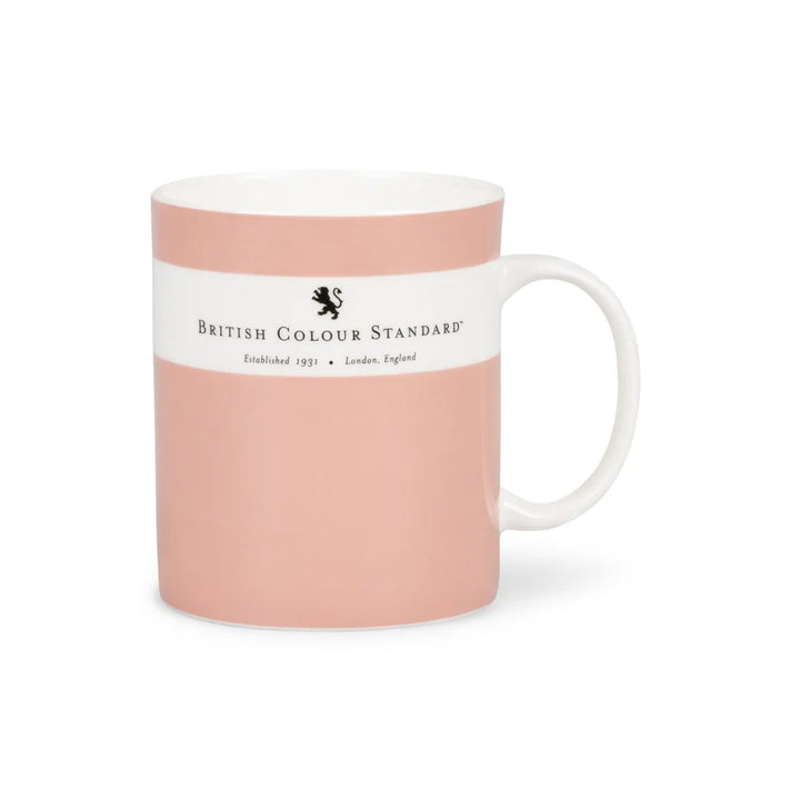Colour Dictionary Mug / Old Rose