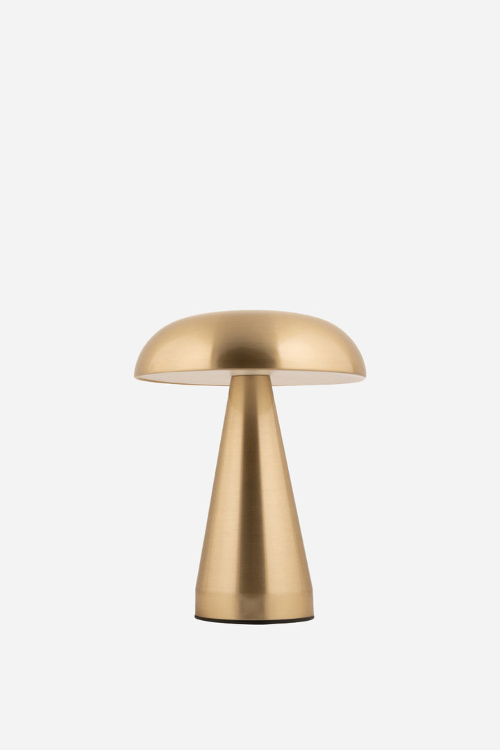 Table lamp Rachel LED iron brushed