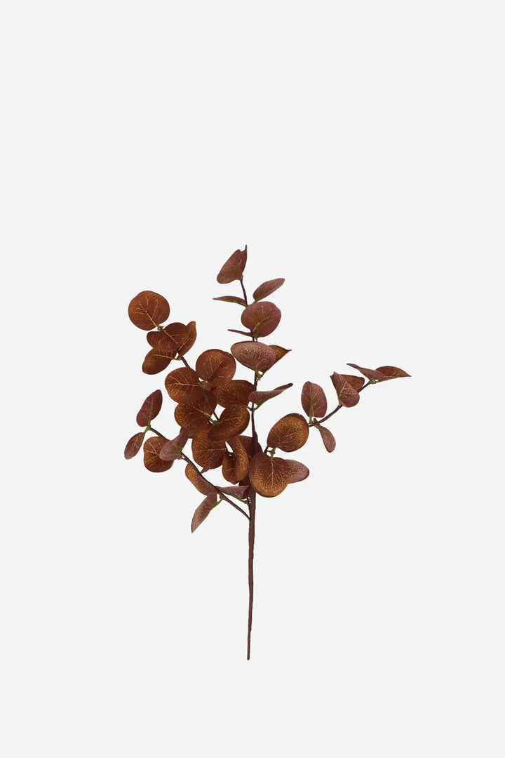 Chestnut Eucalyptus Pick