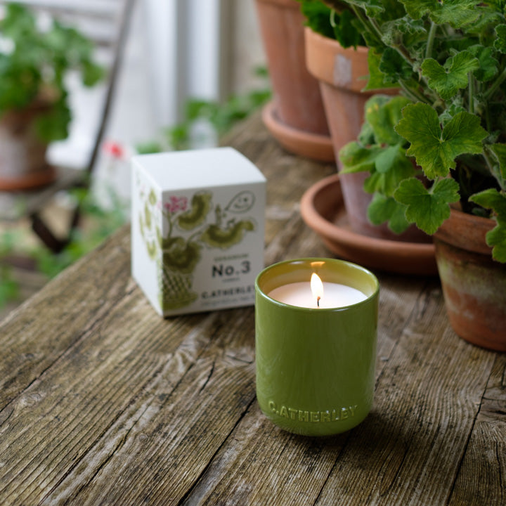 Green candle in a pot with a box labeled 'No. 3' on a wooden surface with potted plants.