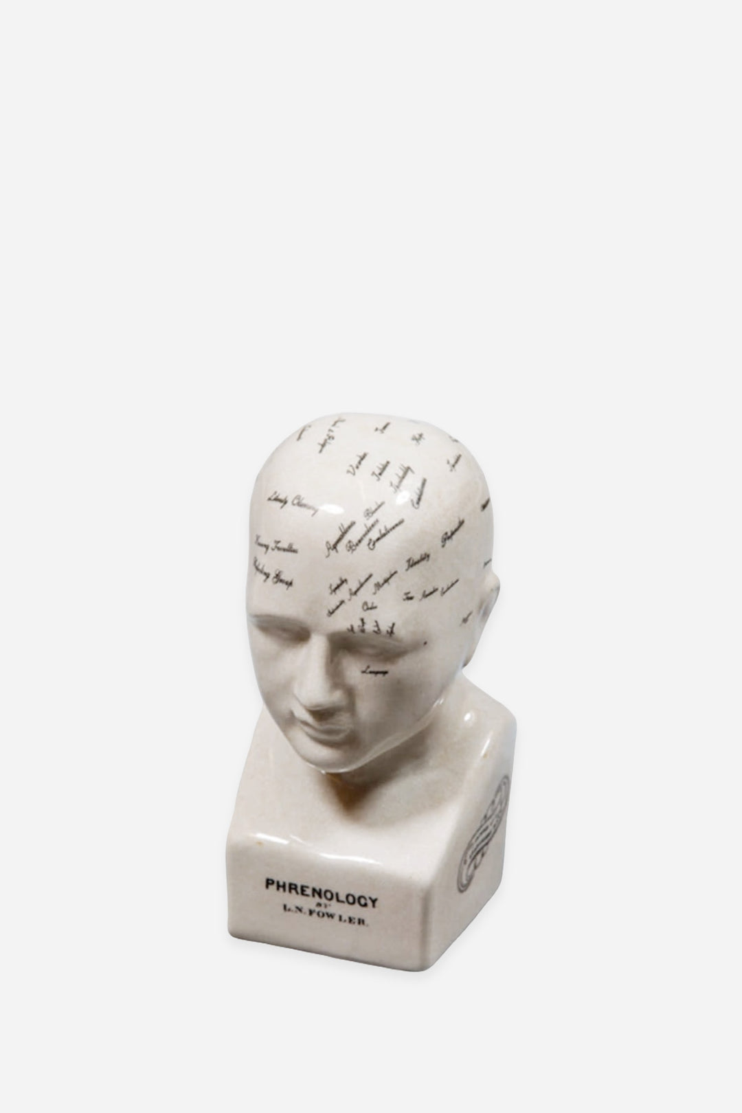 ceramic antique style phrenology head