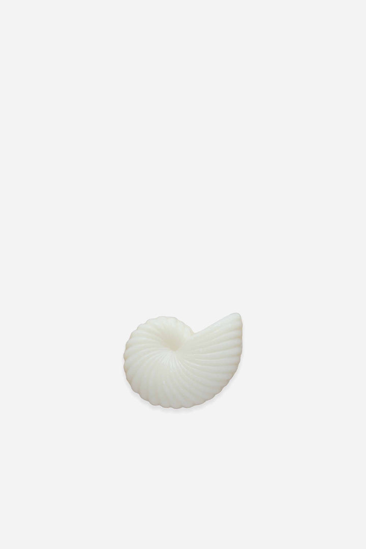 conch shell soap