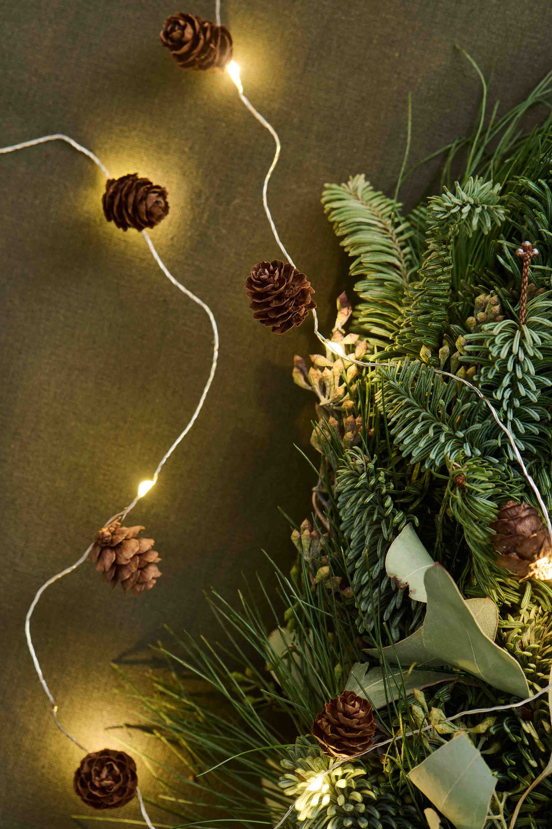 Wire String Lights W/10 LED Lights And Cones