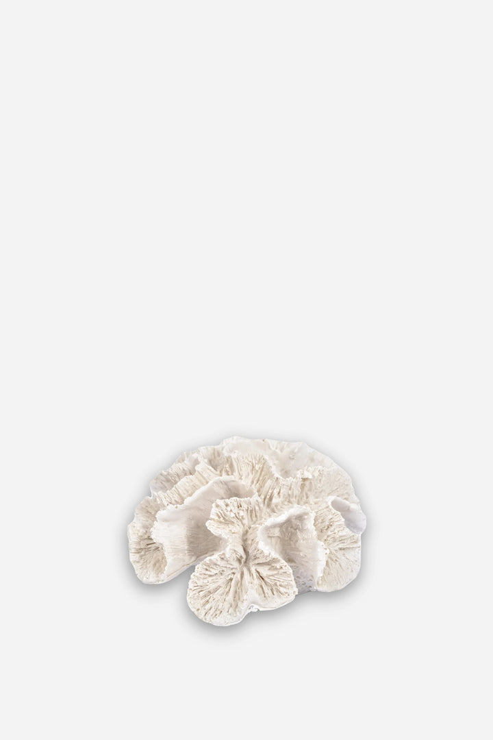 Resin Frill Coral Ornament Sml