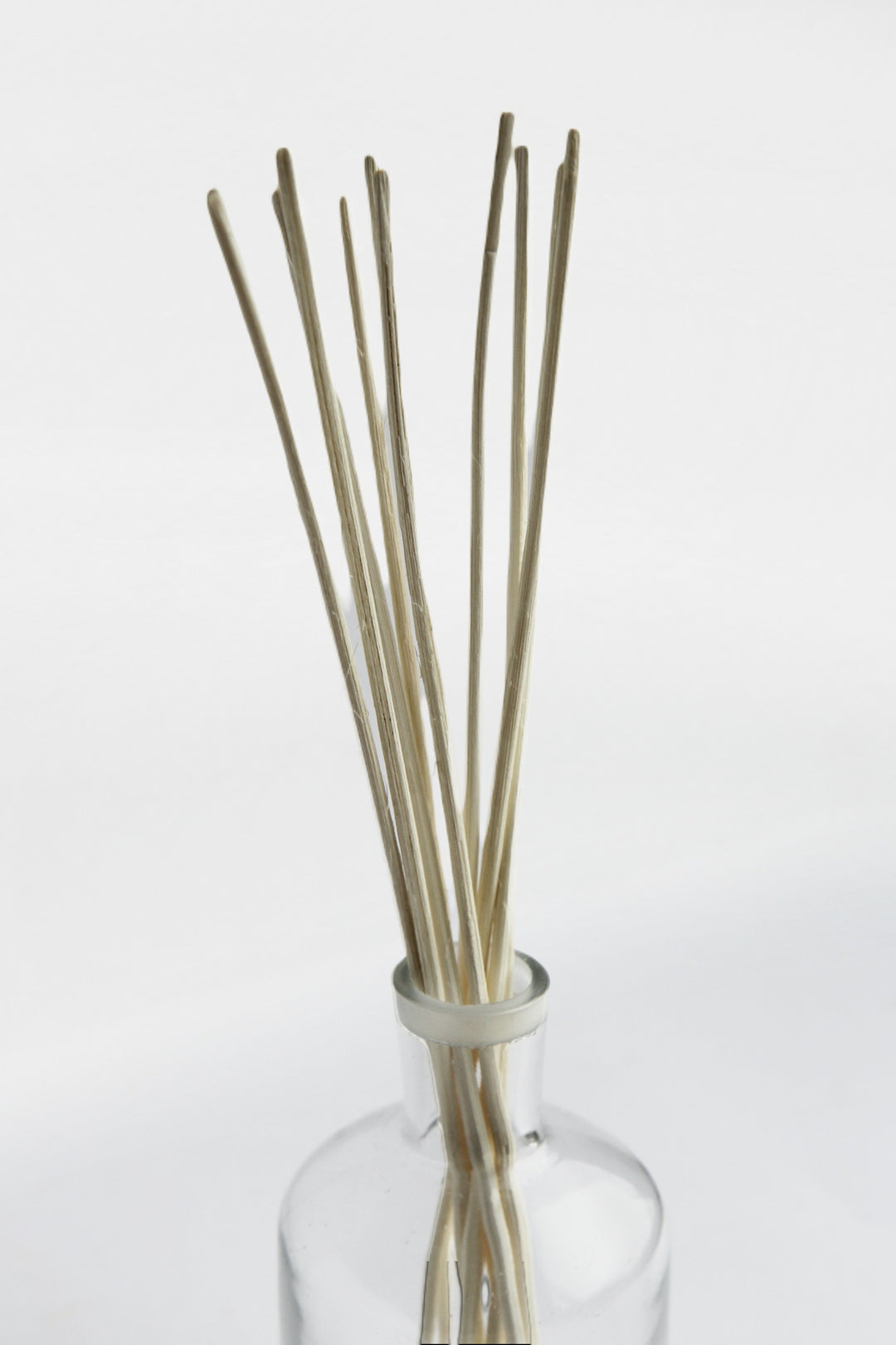 Diffuser Reeds / Bundle of 10 - Domestic Science Home