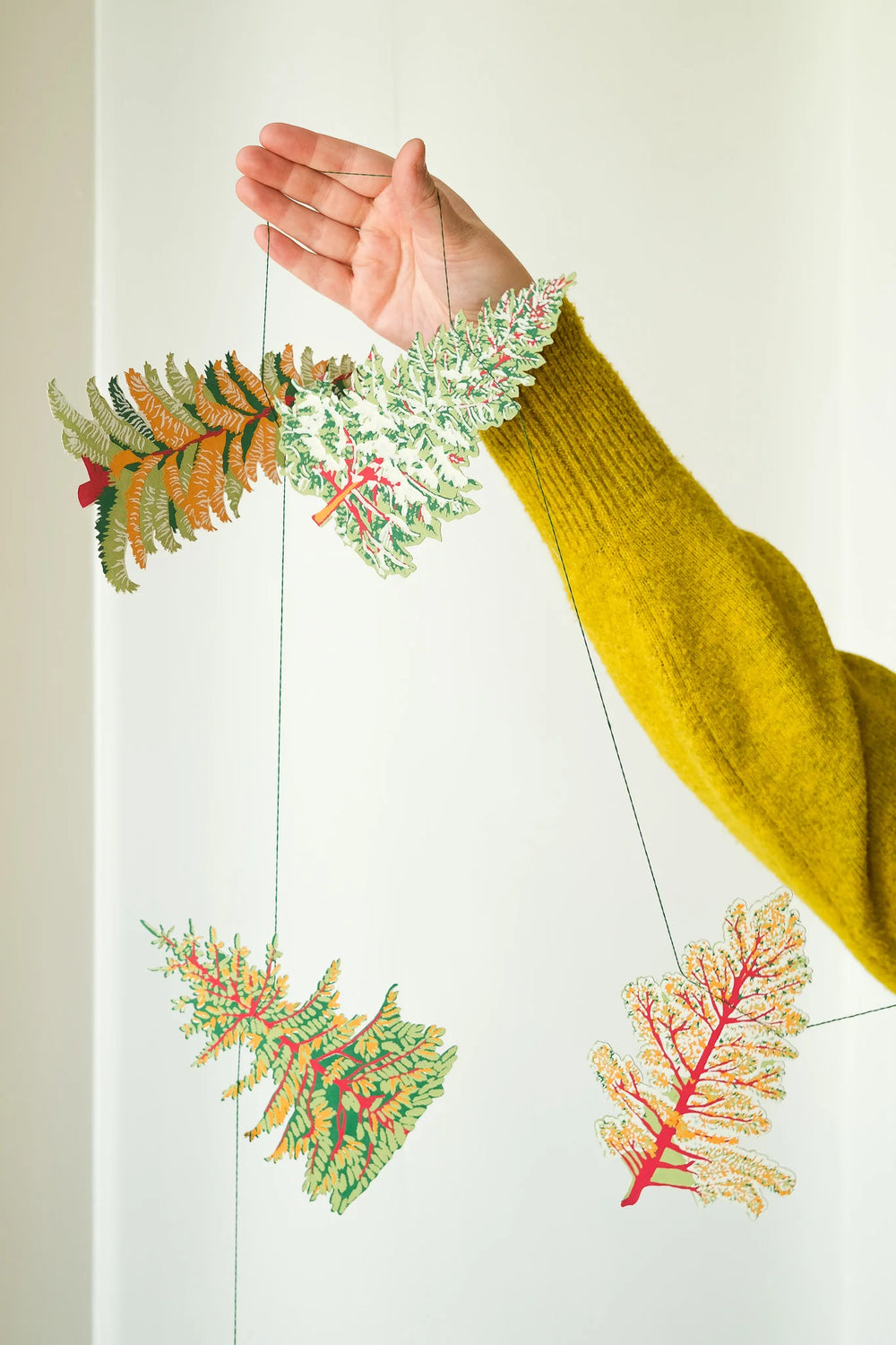 Hand holding a decorative plant with a white background