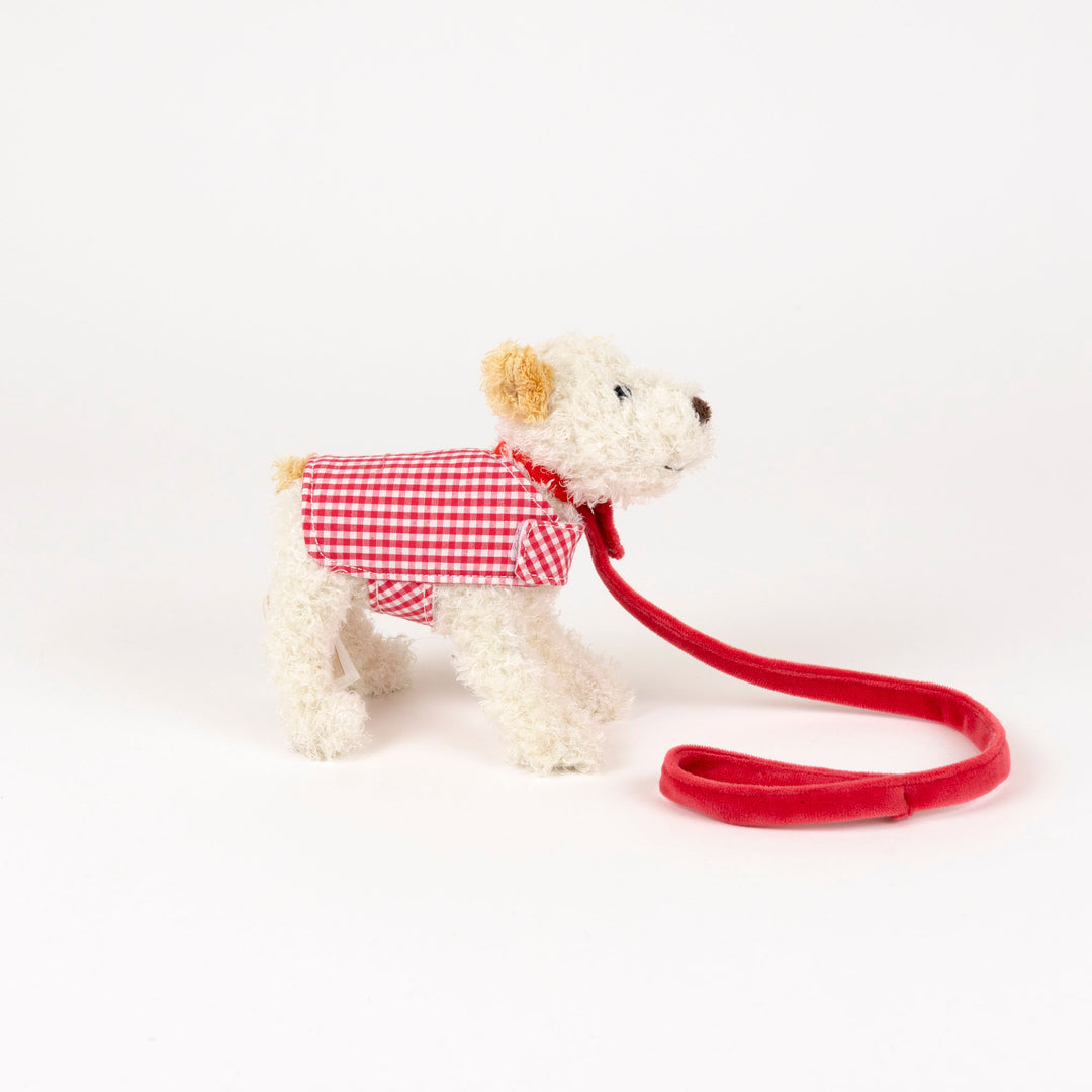 Eliot Small With Leash & Coat / In Basket