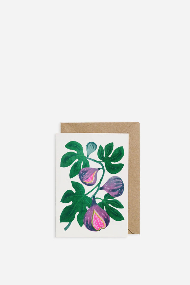 Grow Cards / Fig