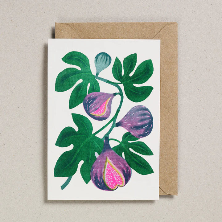 Grow Cards / Fig