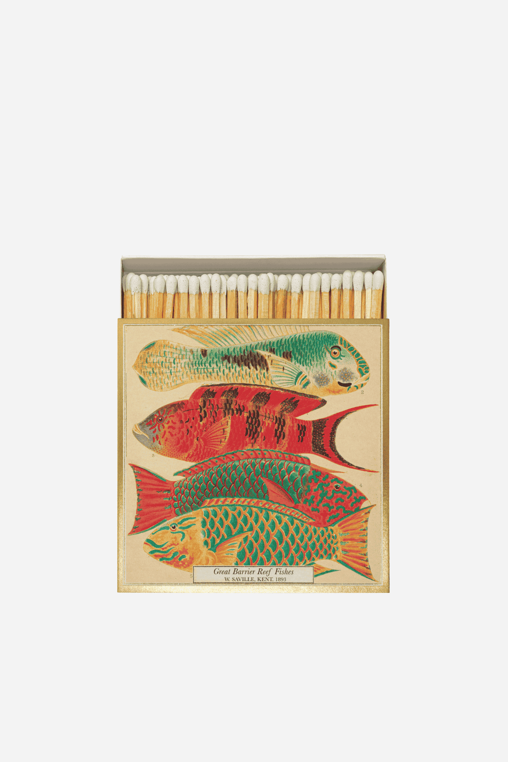 NH Museum Fish Matches - Domestic Science Home