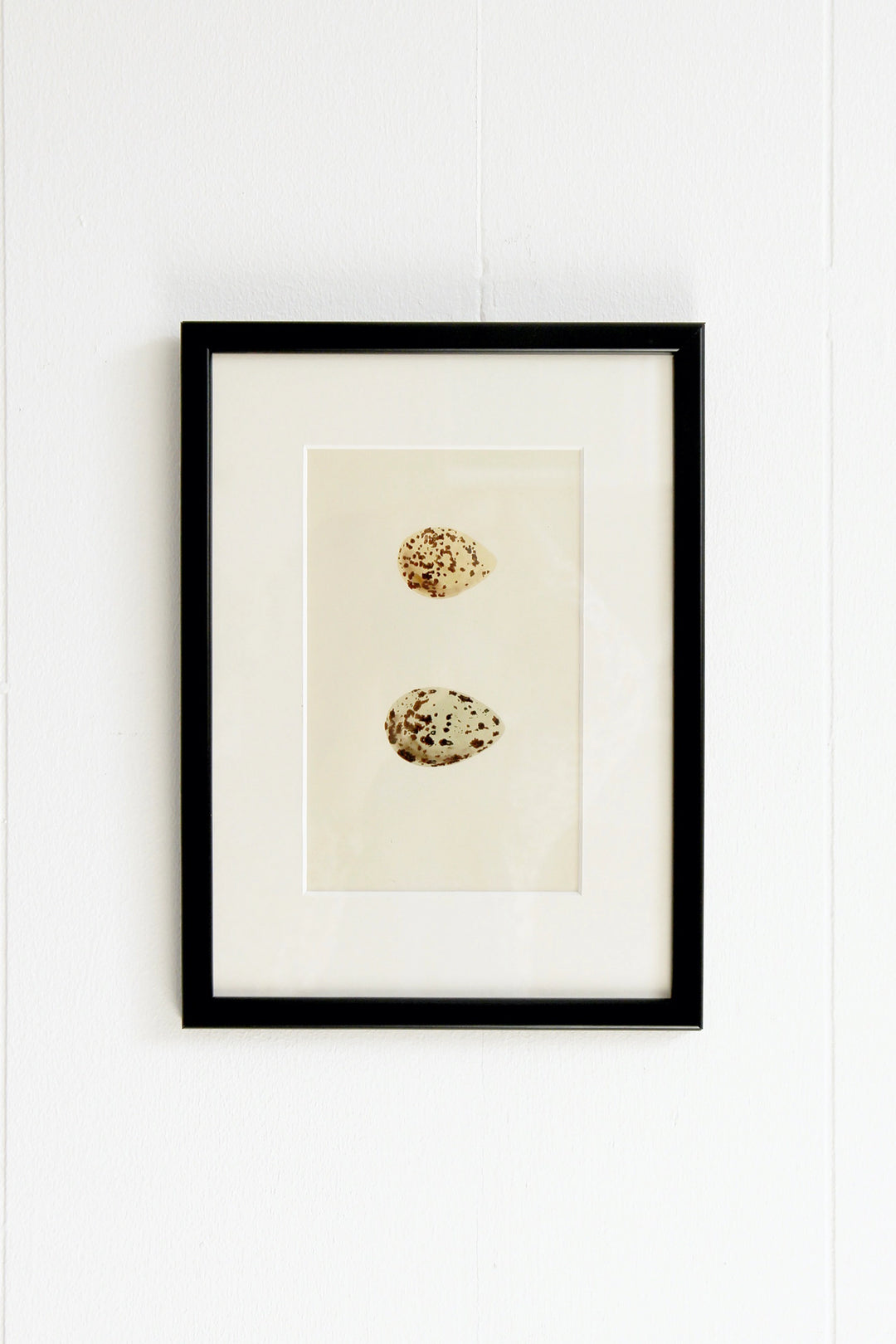 Framed Egg Print / Stilt