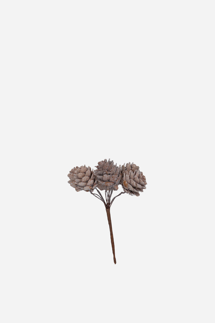 Frosted Natural Acrylic Cone Pick