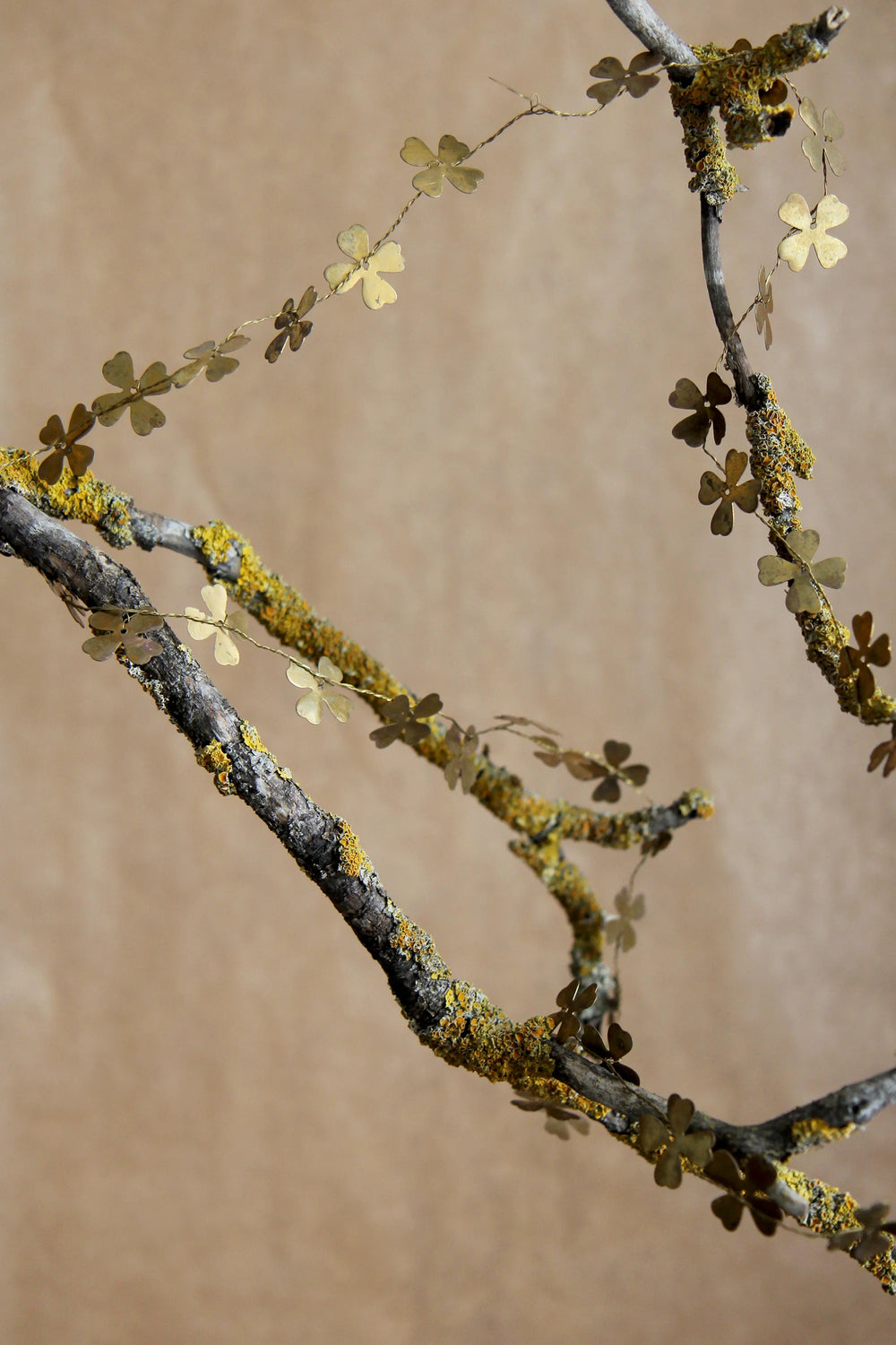 brass christmas flower garland on lichen covered branch