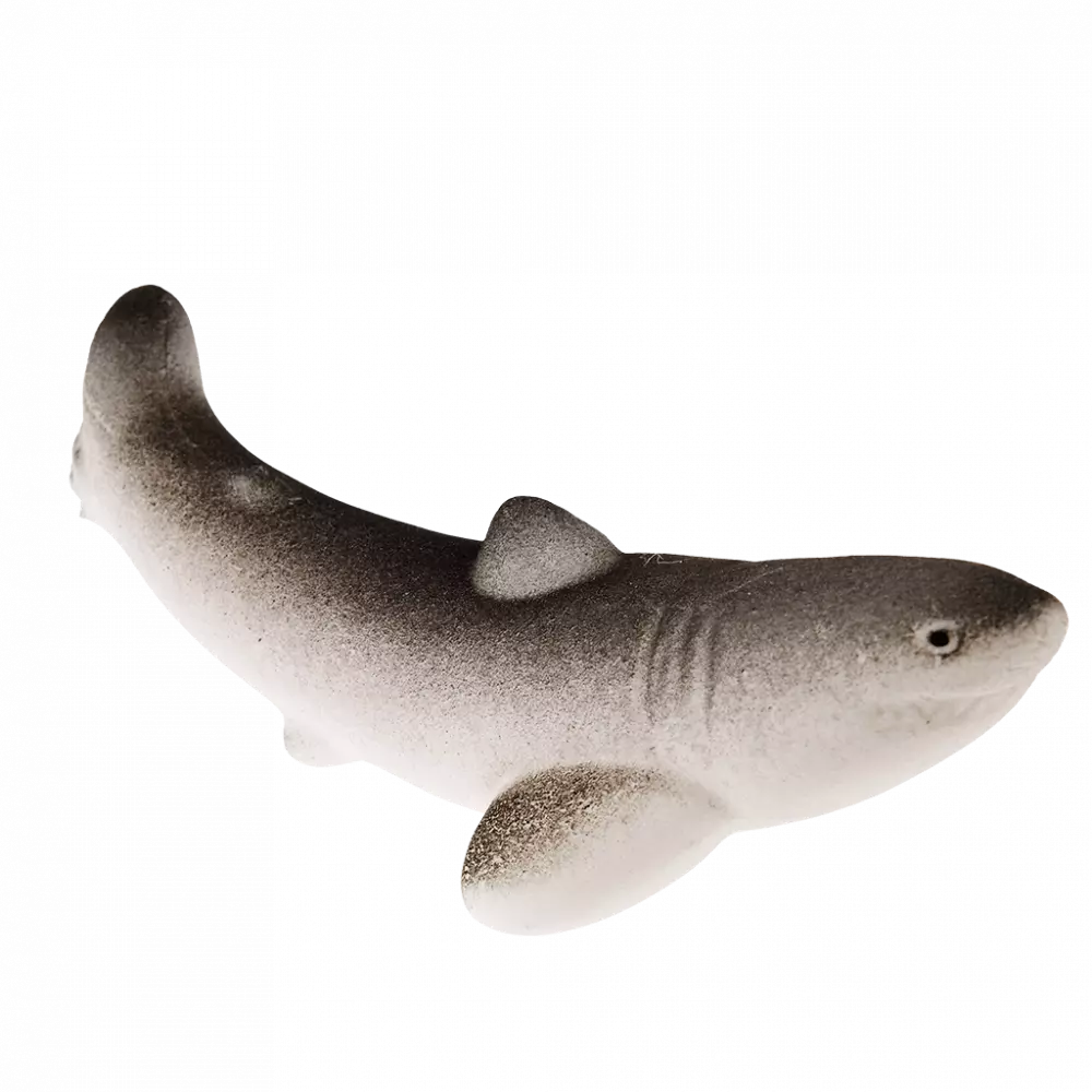 Giant Hatching Shark Egg