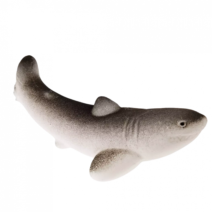 Giant Hatching Shark Egg