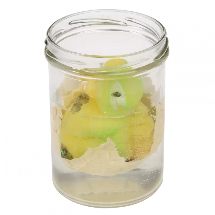 Hatching Dino Egg with Growing Pet