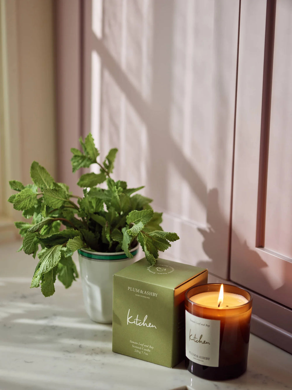 plum and ashby tomato leaf and bay candle in sunlight