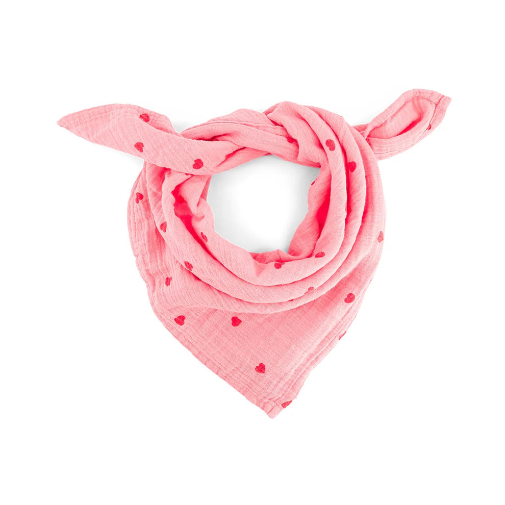 Baby Muslins / Flamingo Heart - Domestic Science Home