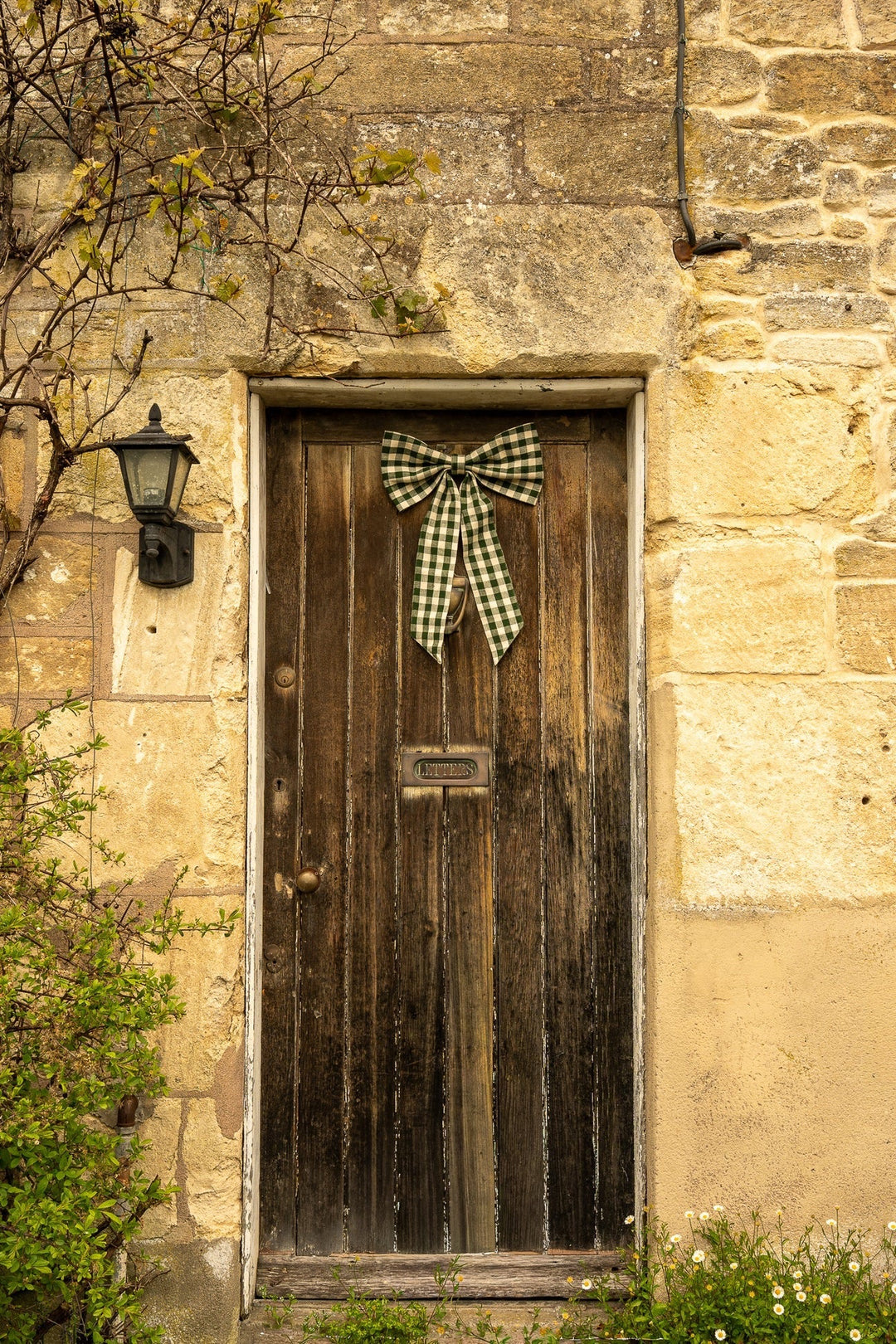 Large Gingham Bow / Pine Green