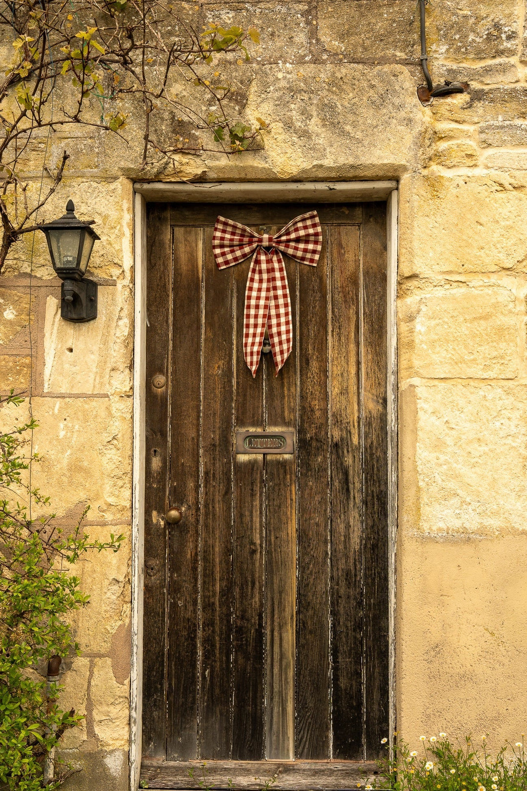 Large Gingham Bow / Winter Berry