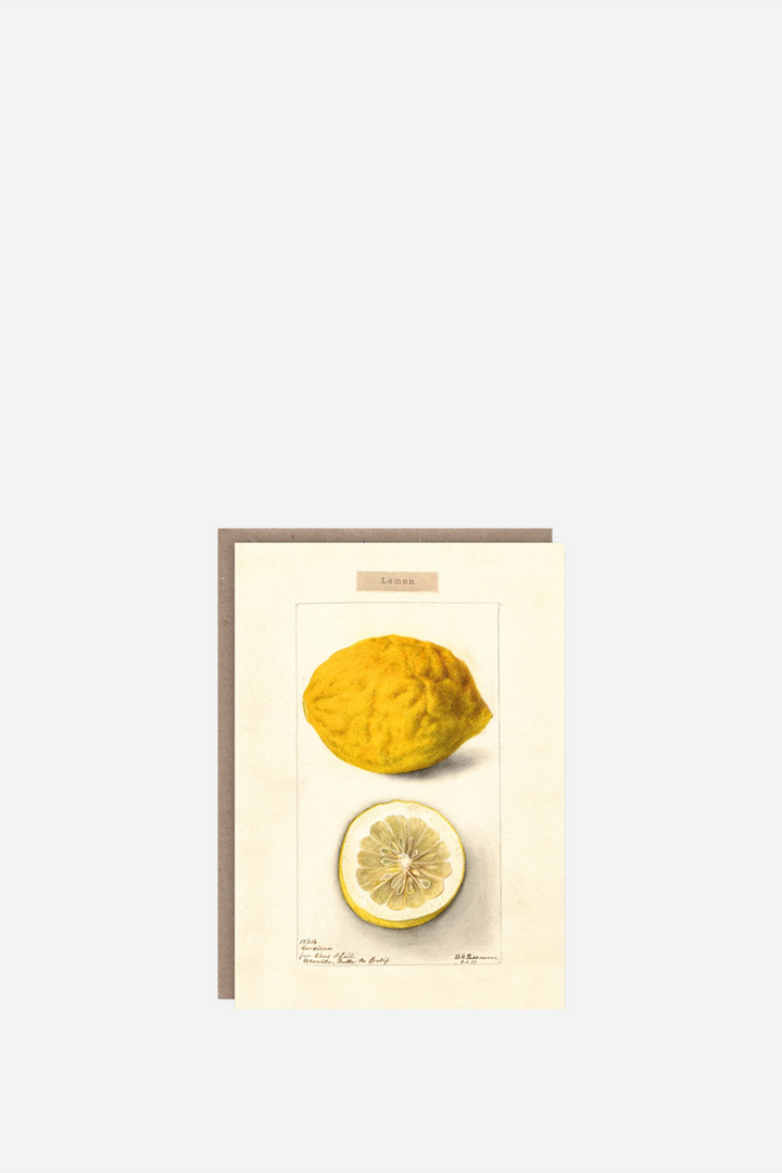 Lemon Card - Domestic Science Home