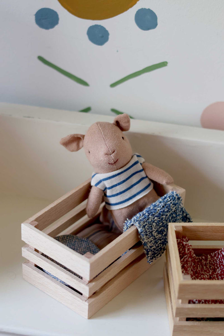 Pig Baby In Box Boy