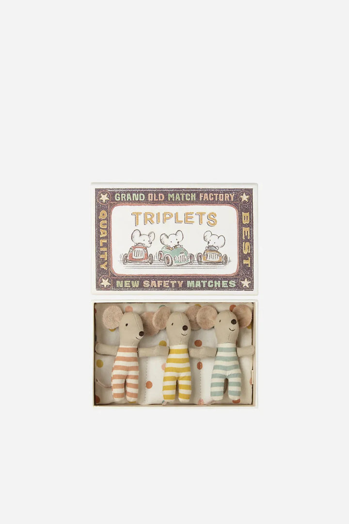 Triplets, Baby mice in matchbox