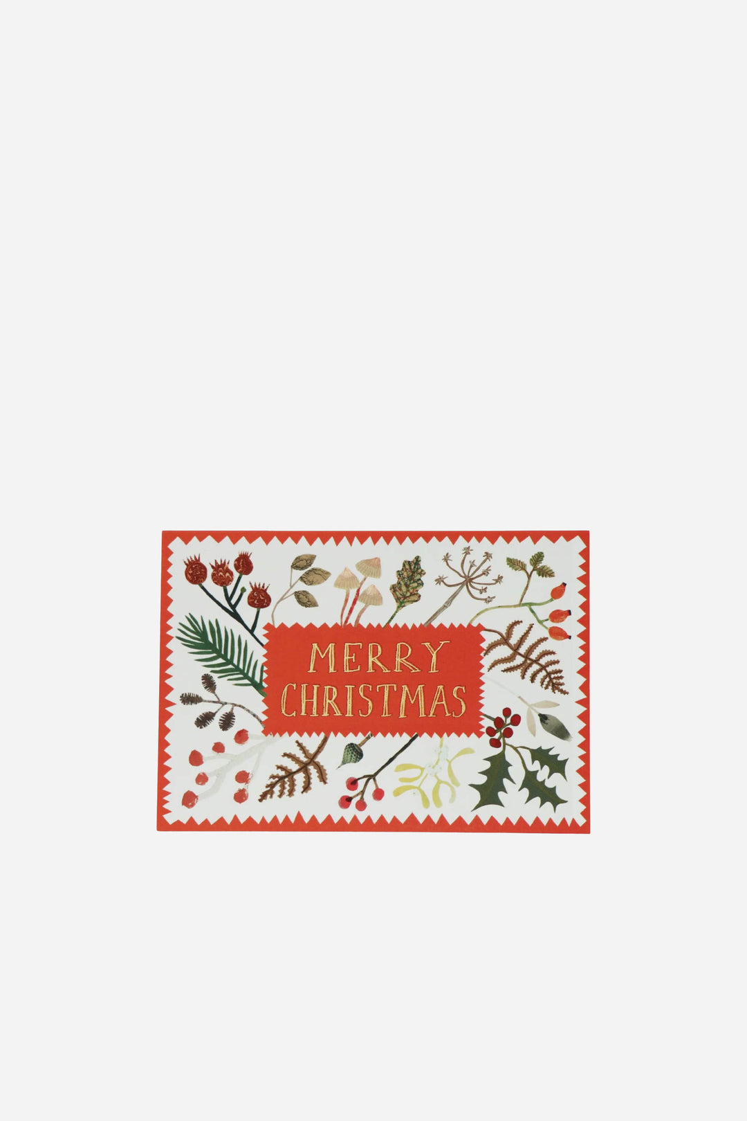 Christmas-themed card with decorative border and 'Merry Christmas' text on a white background