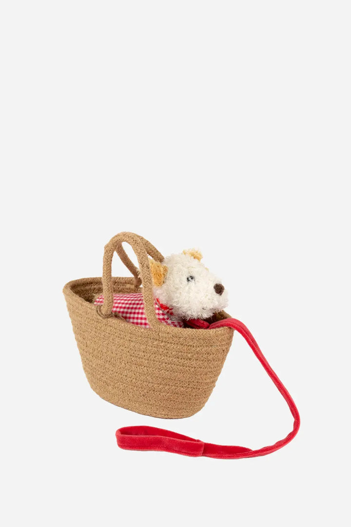 Eliot Small With Leash & Coat / In Basket
