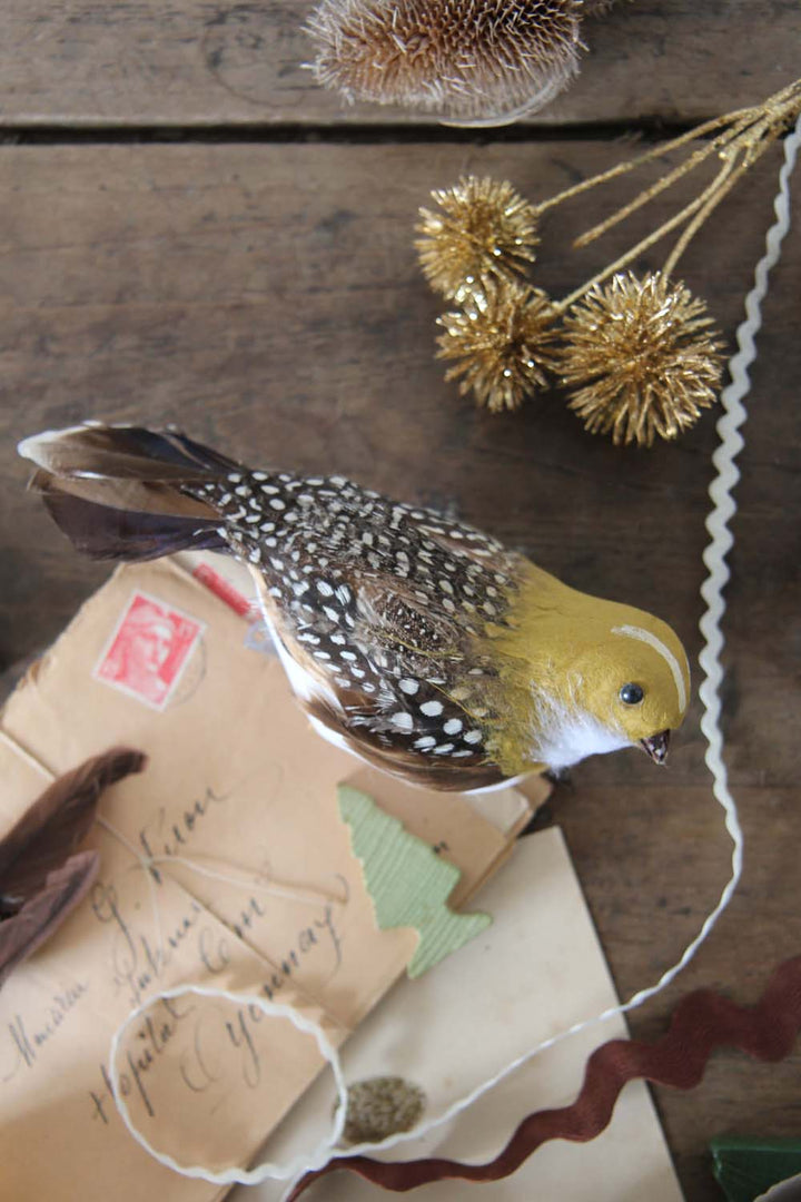 Natural Feather Partridge Clip Dec