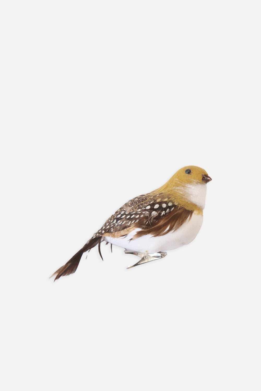 Natural Feather Partridge Clip Dec - Domestic Science Home