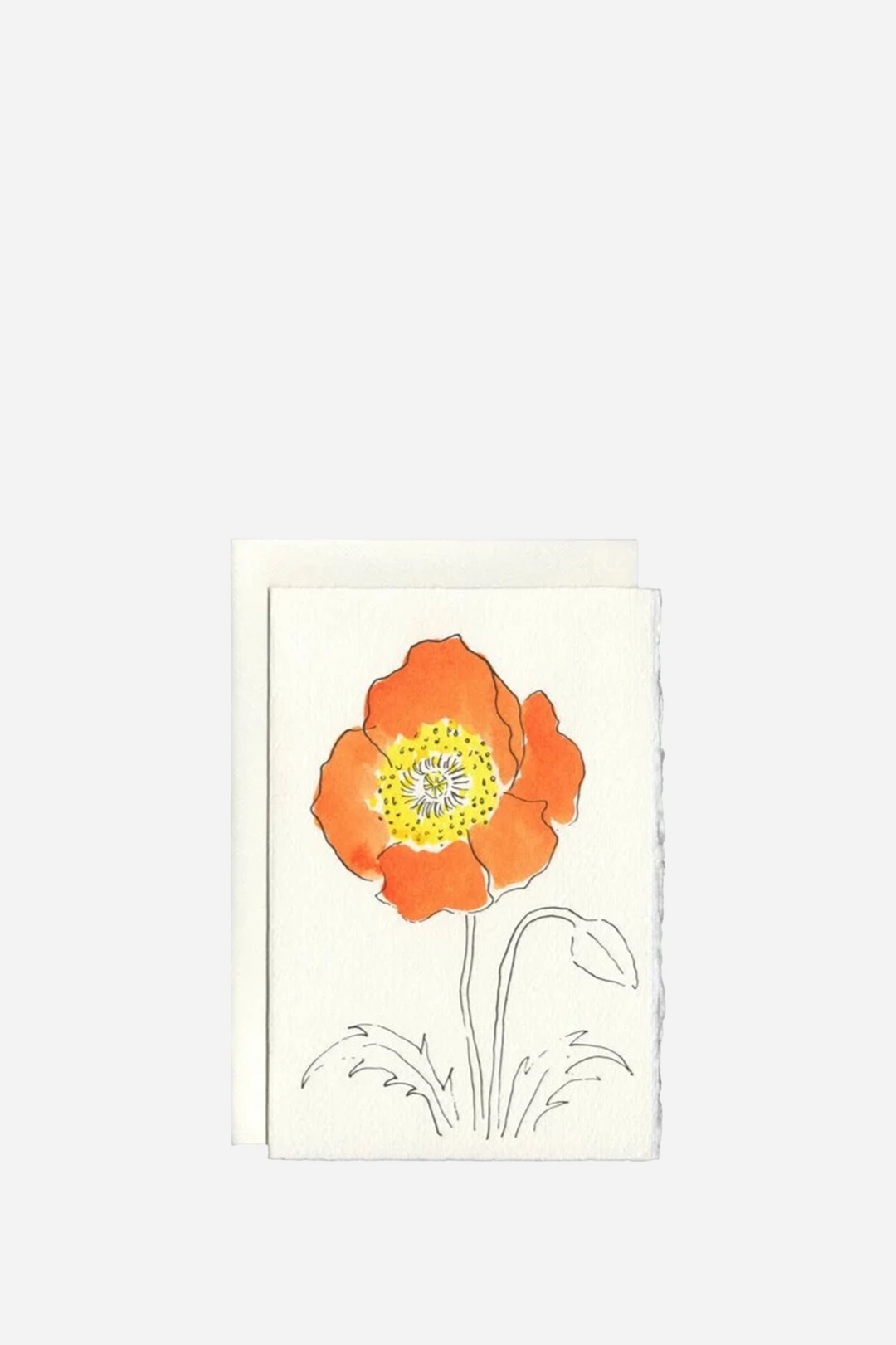 Charleston Co. Oriental Poppy / Orange