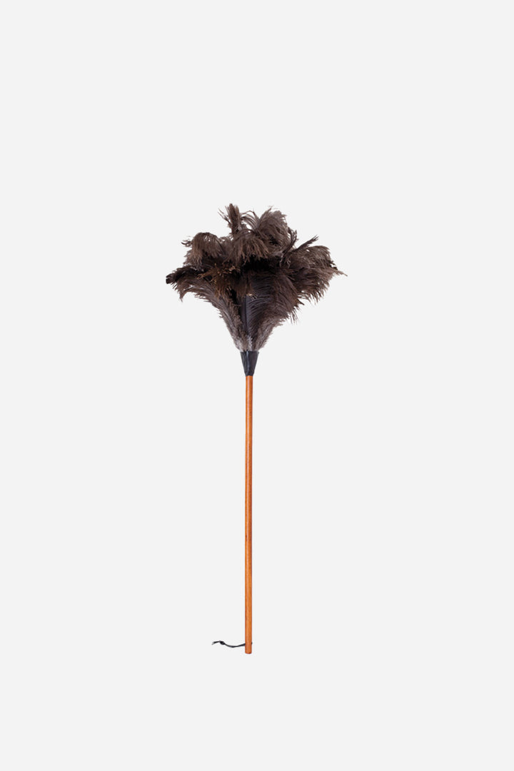 Ostrich Feather Duster / Dark Handle