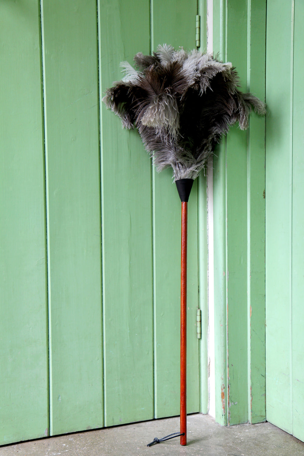 long ostrich feather duster with wooden handle pictured against green pantry door