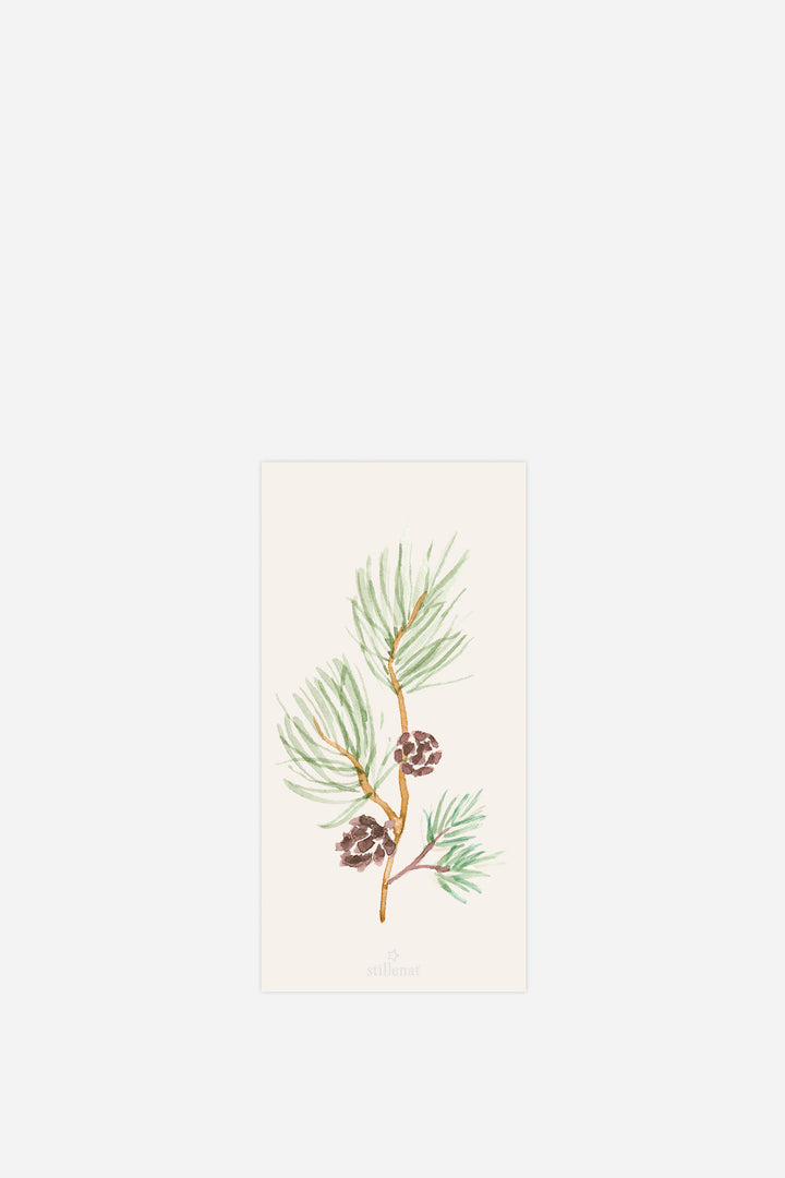 Napkin Pine Branch W/Cones 16 Pcs Per Pack