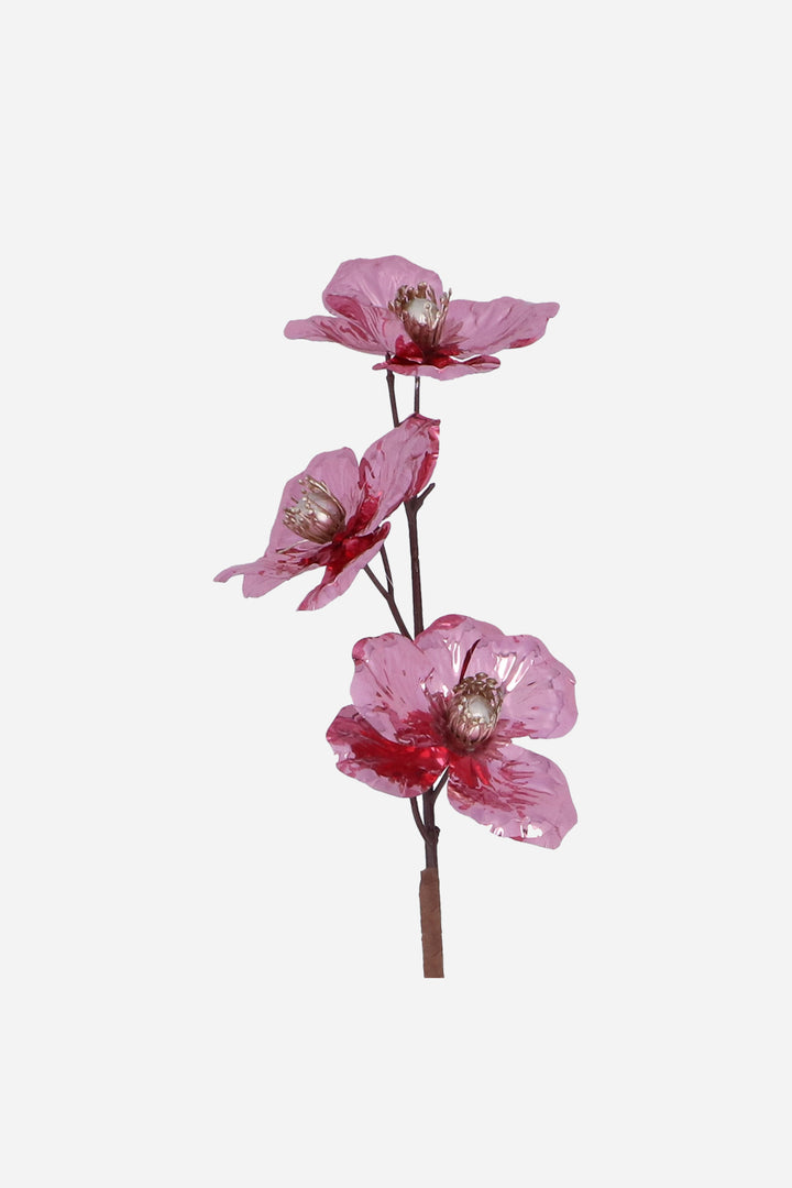 Pink Foil Anemone Stem