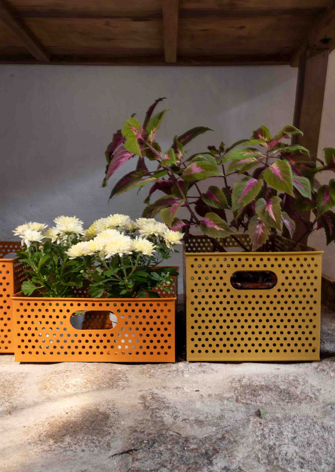 Iron Storage Boxes Set 3 / Pumpkin Spice