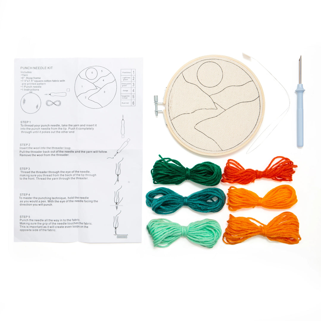 Embroidery kit with hoop, threads, needle, and instructions on a white background