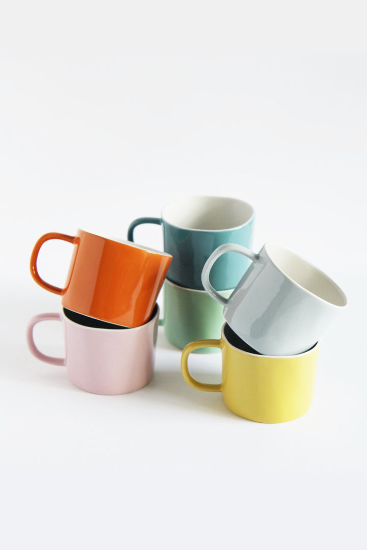 Quail's Egg Ceramics Colourful Mug - Domestic Science Home