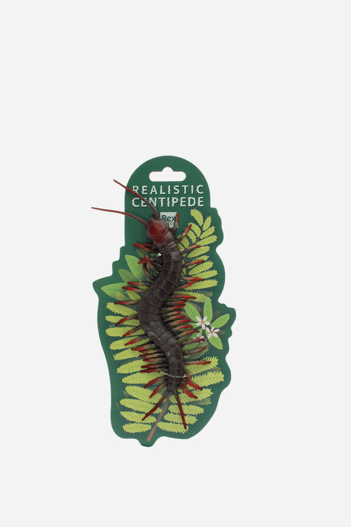 Realistic Centipede Toy