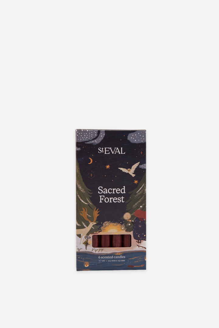 Candles Sacred Forest / Box of 6