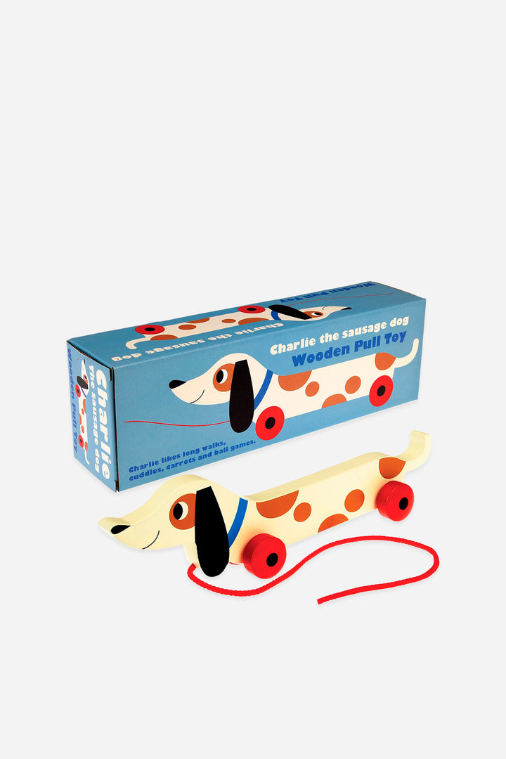 Wooden pull toy dog with packaging on a white background
