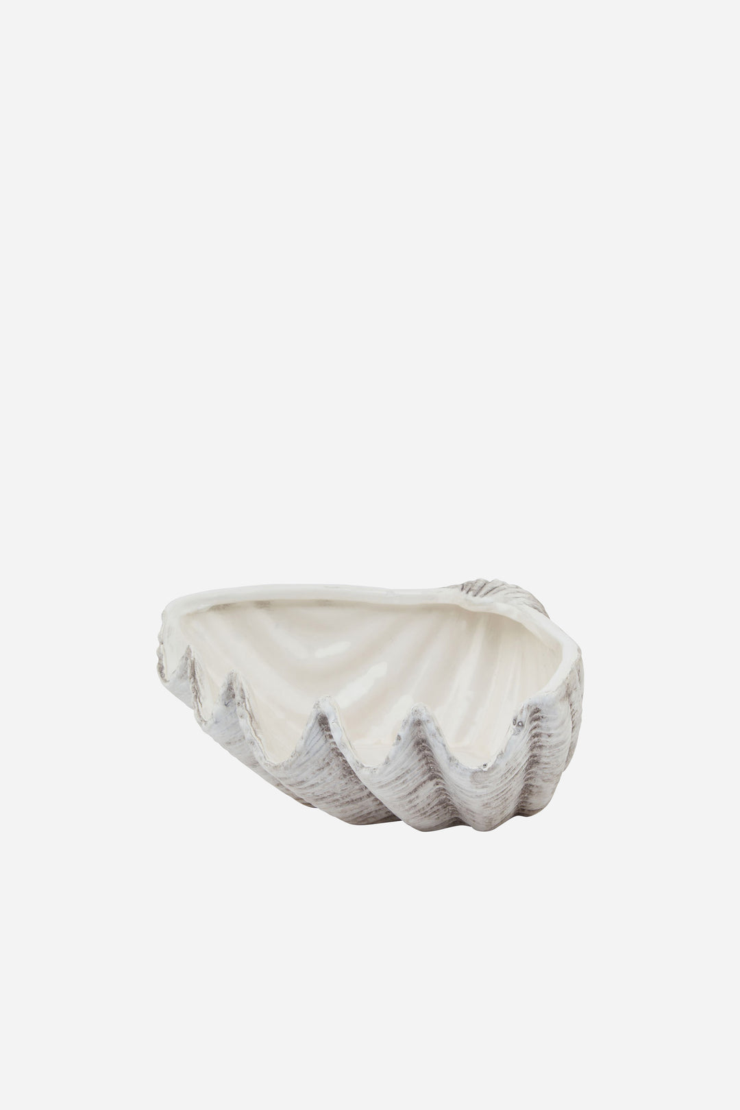 shell shaped bowl
