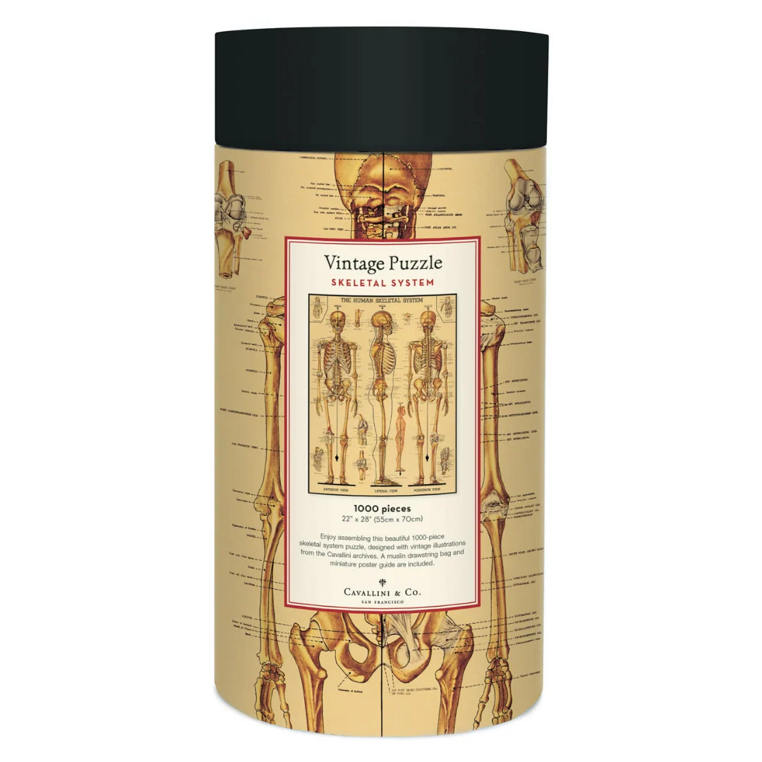 Skeletal System 1000 Piece Puzzle