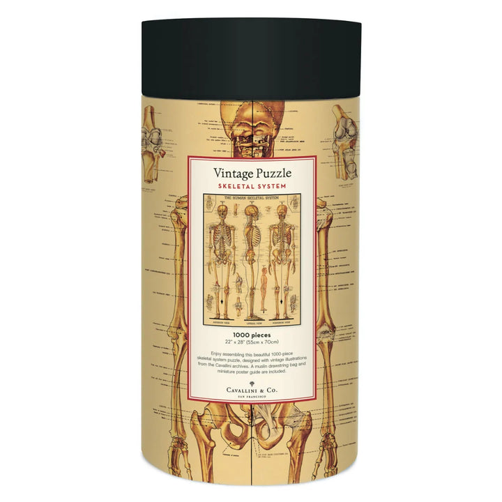 Skeletal System 1000 Piece Puzzle